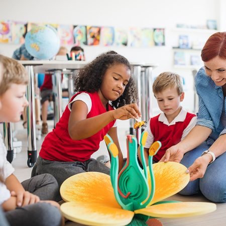 a-group-of-small-school-kids-with-teacher-sitting--G4YGJYK